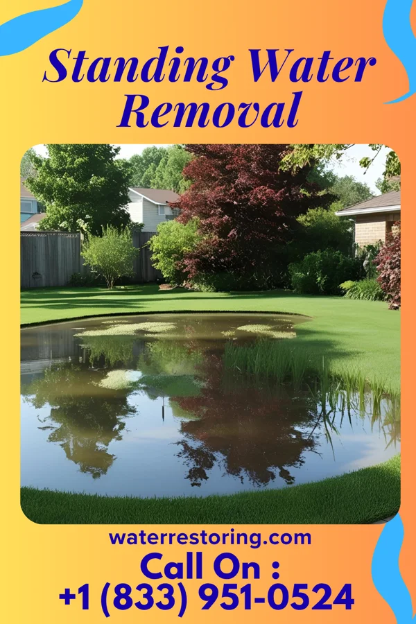 Standing Water Removal in Jewett City, CT